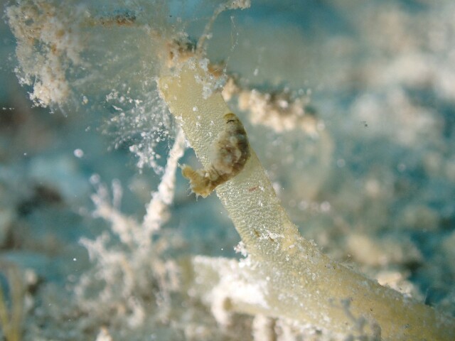 f:id:takedive1988:20220413200325j:image f:id:takedive1988:20220413200325j:image