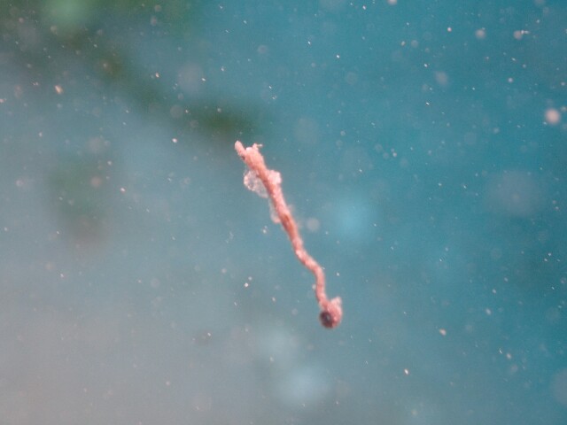 f:id:takedive1988:20220413200439j:image f:id:takedive1988:20220413200439j:image