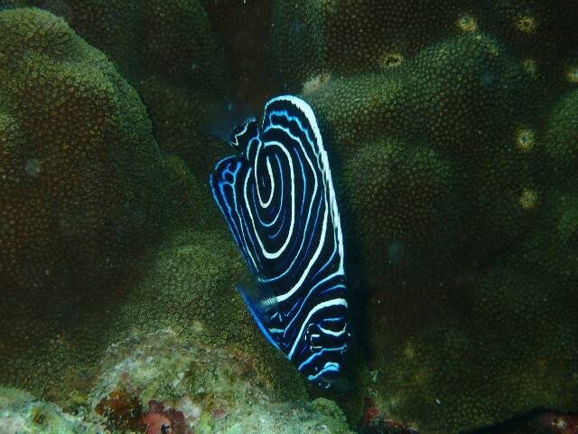 f:id:takedive1988:20220413200714j:image f:id:takedive1988:20220413200714j:image