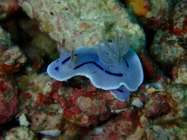 f:id:takedive1988:20220413214904j:image f:id:takedive1988:20220413214904j:image