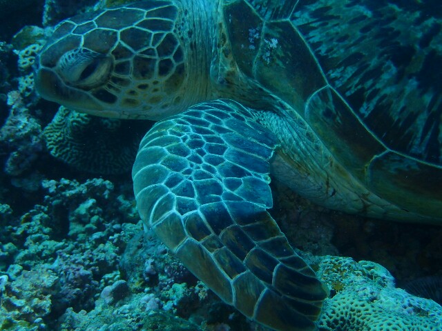 f:id:takedive1988:20220425212814j:image