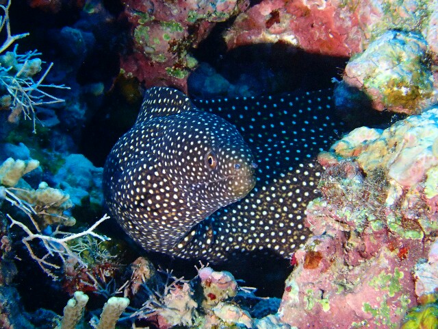 f:id:takedive1988:20220425213022j:image