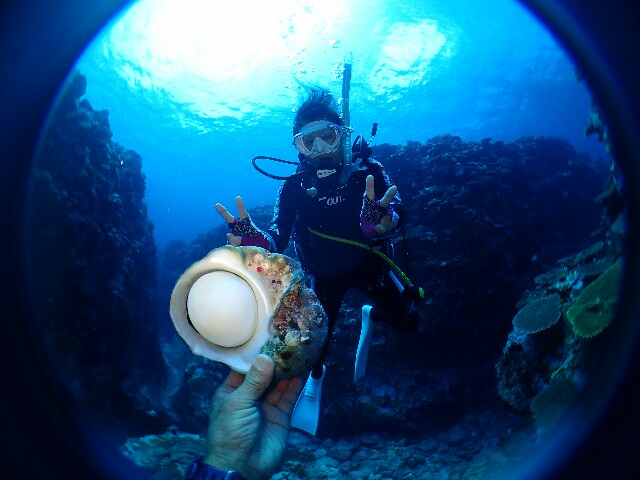 f:id:takedive1988:20220425213233j:image