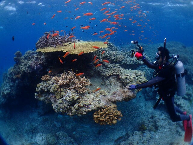 f:id:takedive1988:20220430215826j:image