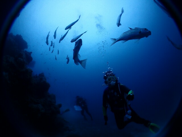 f:id:takedive1988:20220430215919j:image