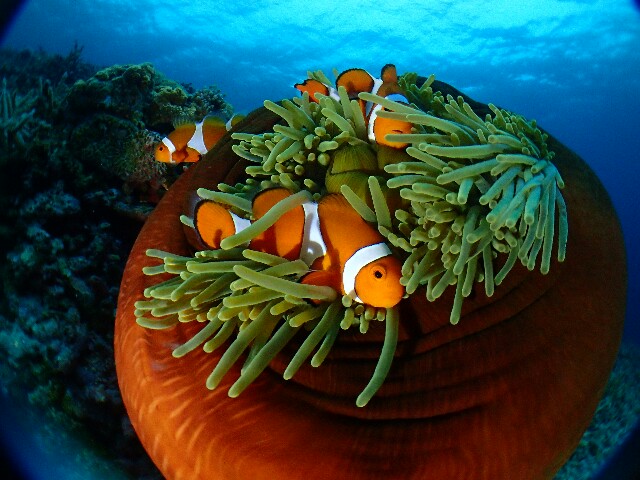 f:id:takedive1988:20220511195112j:image