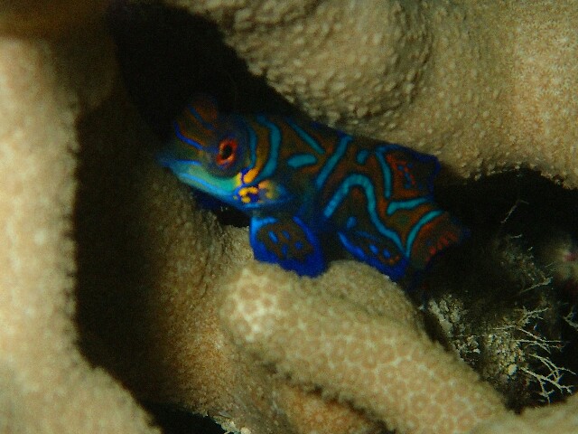 f:id:takedive1988:20220514201029j:image