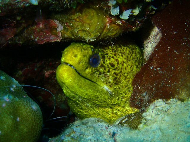 f:id:takedive1988:20220514201220j:image