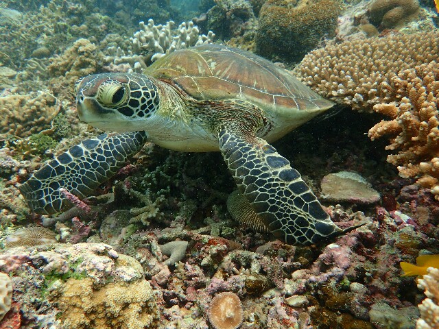 f:id:takedive1988:20220521221800j:image