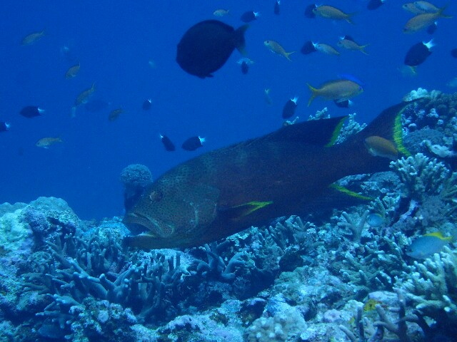 f:id:takedive1988:20220521222328j:image
