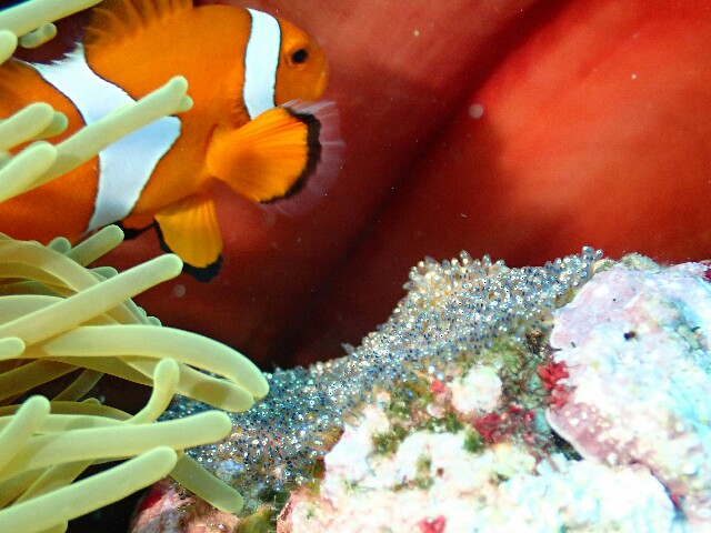 f:id:takedive1988:20220524200923j:image