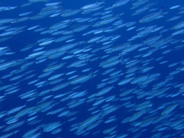 f:id:takedive1988:20220524201201j:image