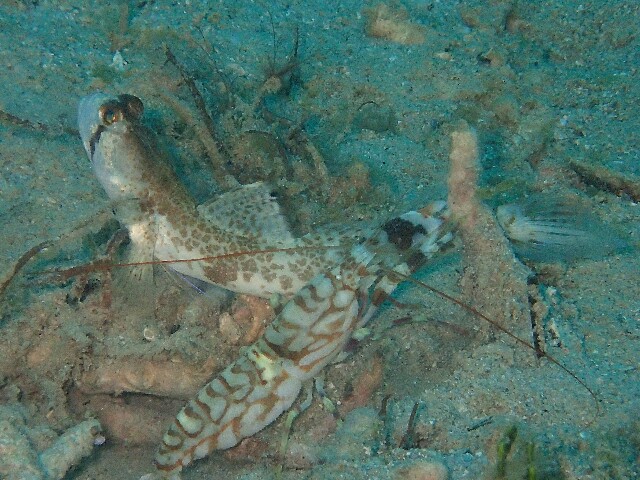 f:id:takedive1988:20220524201238j:image