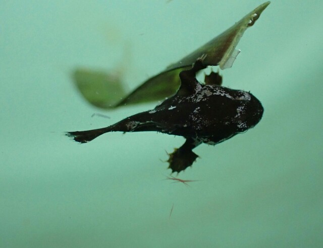 f:id:takedive1988:20220524201449j:image