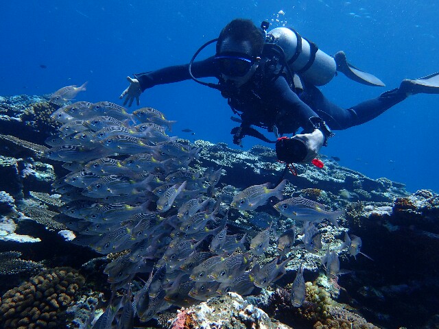 f:id:takedive1988:20220530214053j:image