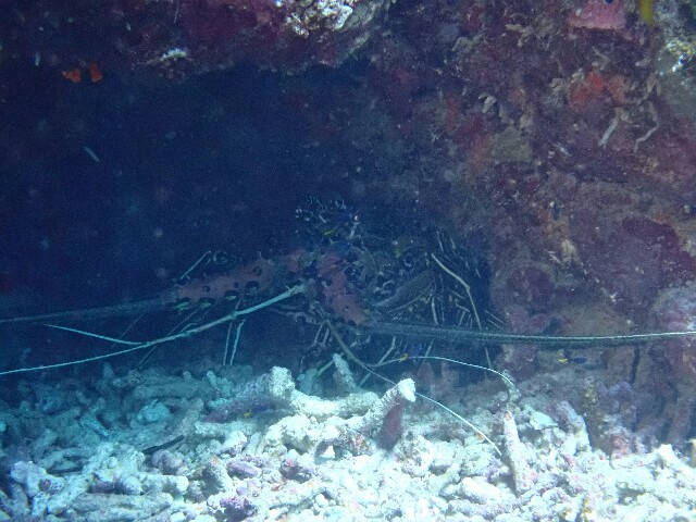 f:id:takedive1988:20220603213643j:image