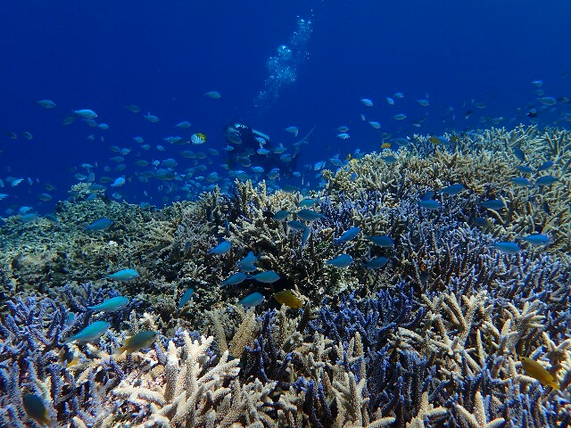 f:id:takedive1988:20220619214432j:image