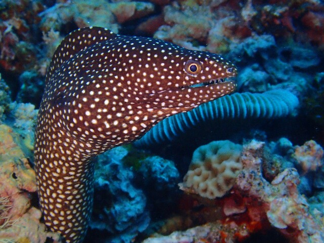f:id:takedive1988:20220620185902j:image