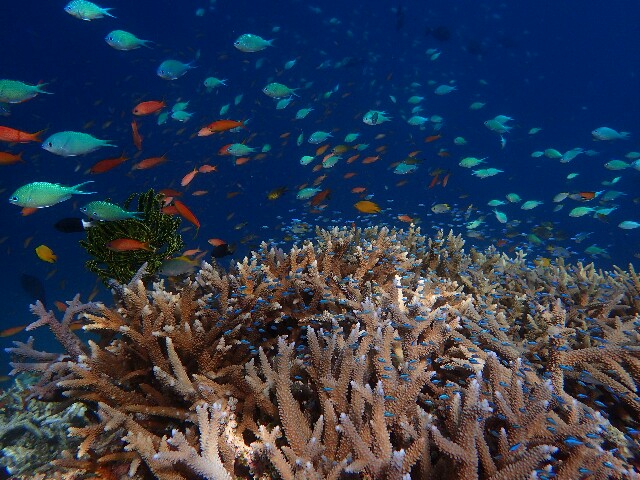 f:id:takedive1988:20220628193539j:image