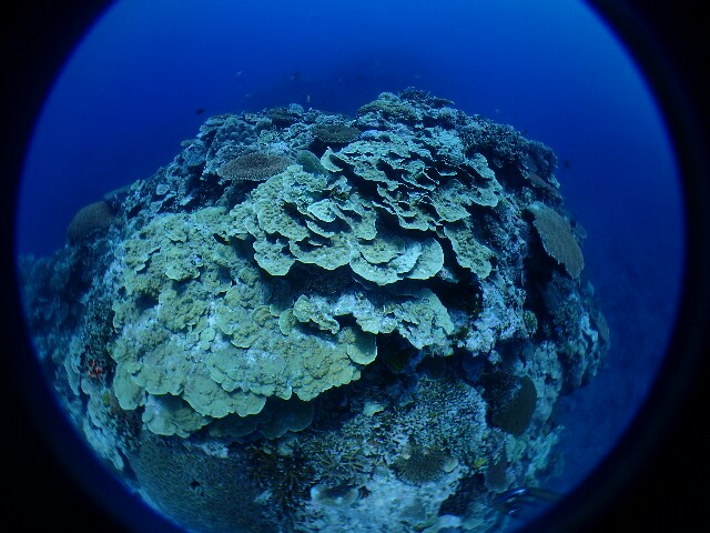 f:id:takedive1988:20220628193719j:image