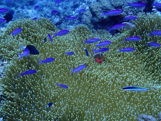 f:id:takedive1988:20220628193855j:image