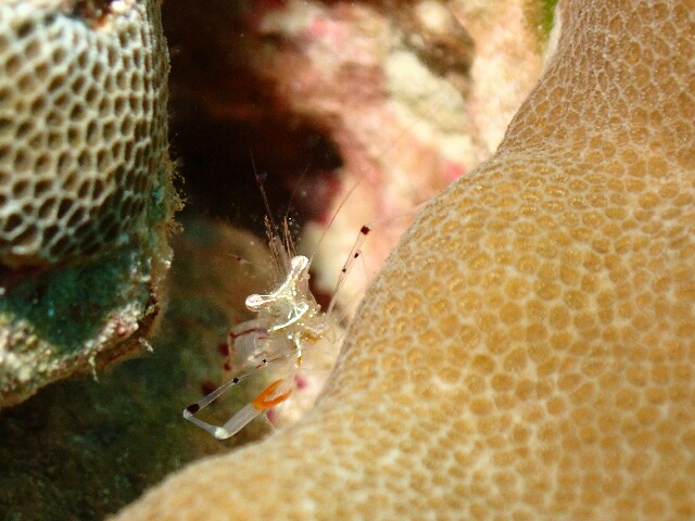 f:id:takedive1988:20220701194546j:image