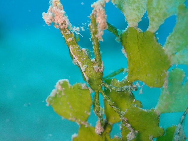 f:id:takedive1988:20220706201536j:image