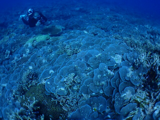 f:id:takedive1988:20220708224740j:image