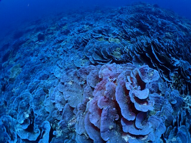 f:id:takedive1988:20220811193456j:image