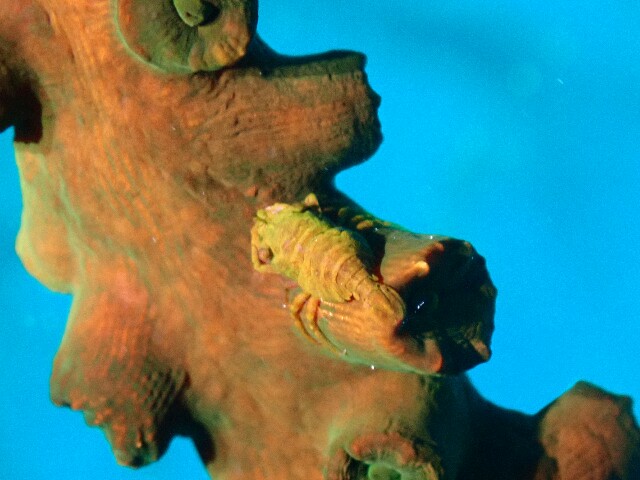f:id:takedive1988:20220812200033j:image