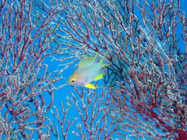 f:id:takedive1988:20220812200056j:image