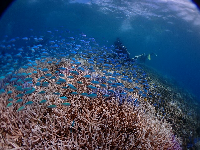 f:id:takedive1988:20220814230856j:image f:id:takedive1988:20220814230856j:image