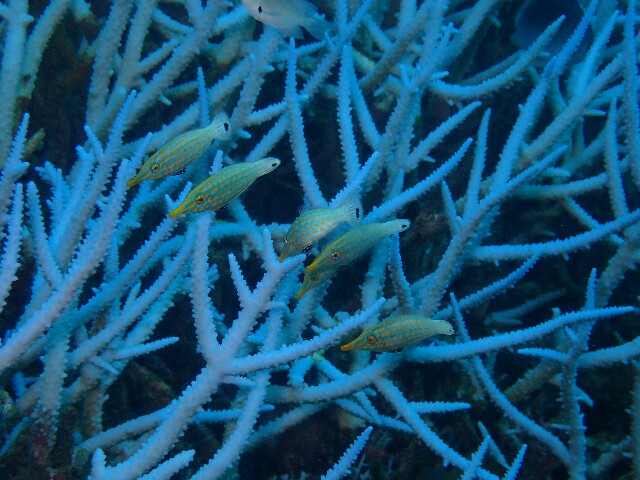f:id:takedive1988:20220907200039j:image