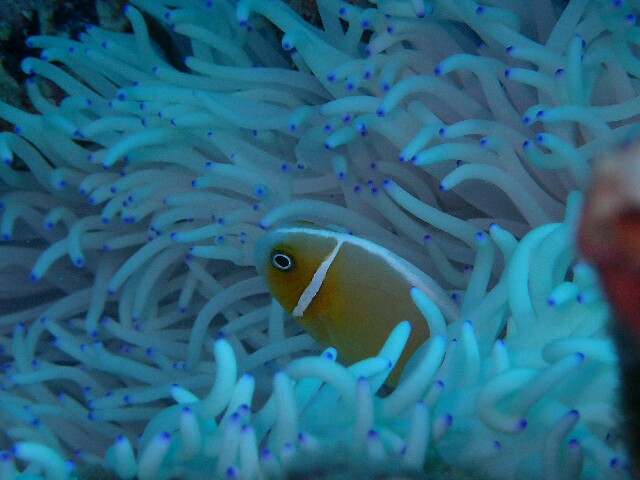 f:id:takedive1988:20220920193701j:image
