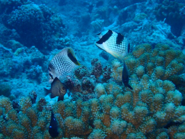 f:id:takedive1988:20220920193720j:image