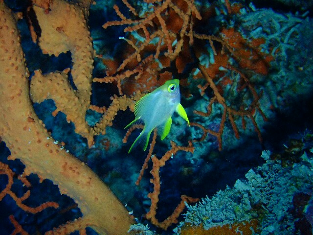 f:id:takedive1988:20220921192244j:image