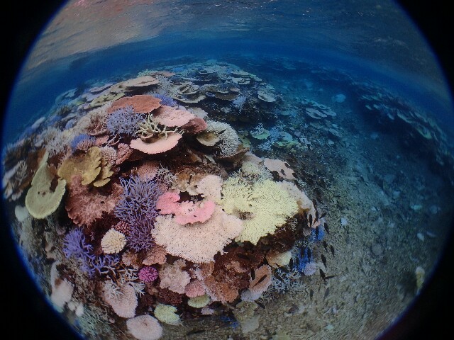 f:id:takedive1988:20220921192324j:image