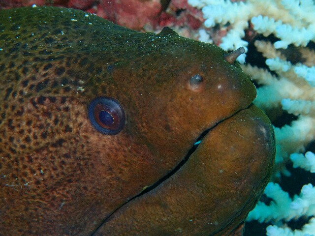 f:id:takedive1988:20220921192420j:image