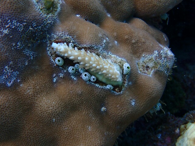 f:id:takedive1988:20220921192502j:image