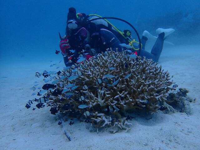 f:id:takedive1988:20220921192522j:image