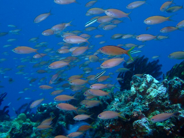 f:id:takedive1988:20221003220142j:image