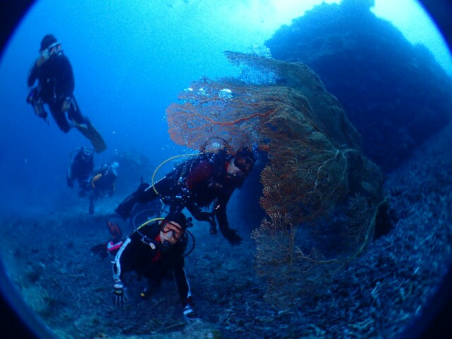 f:id:takedive1988:20221008190822j:image