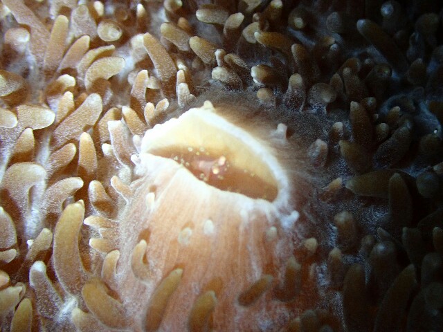 f:id:takedive1988:20221027192258j:image