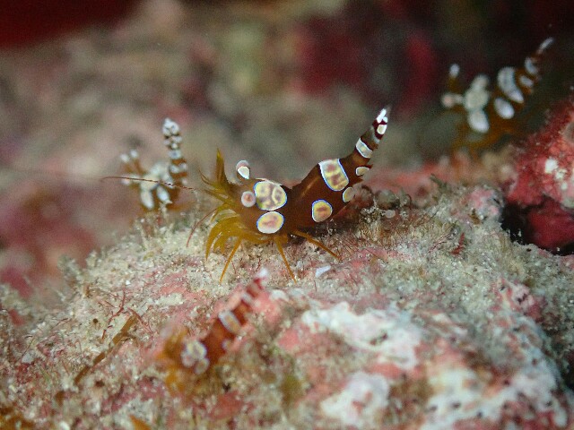 f:id:takedive1988:20221107190842j:image f:id:takedive1988:20221107190842j:image