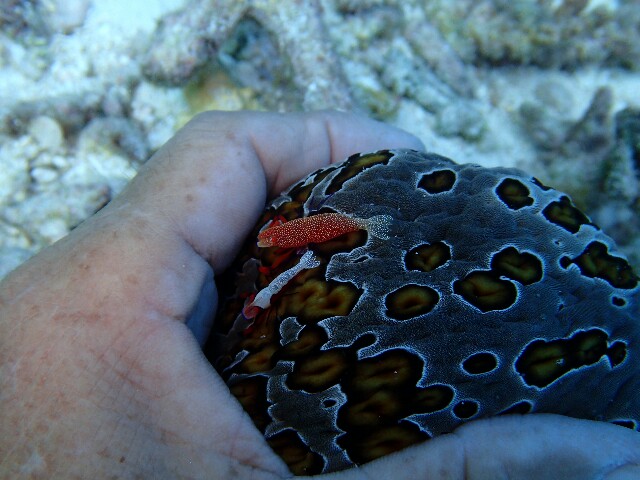 f:id:takedive1988:20221114190800j:image f:id:takedive1988:20221114190800j:image