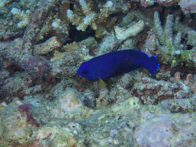 f:id:takedive1988:20221114190824j:image f:id:takedive1988:20221114190824j:image