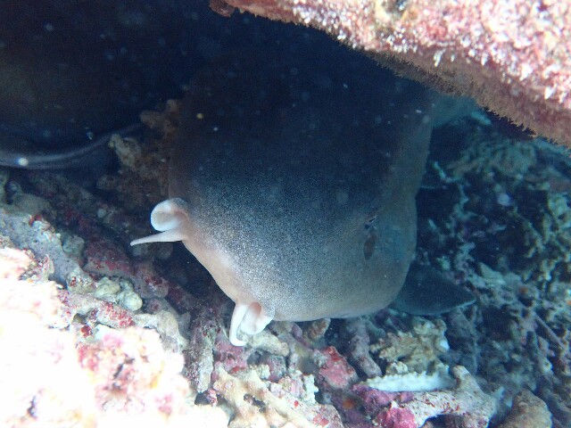 f:id:takedive1988:20221126095643j:image