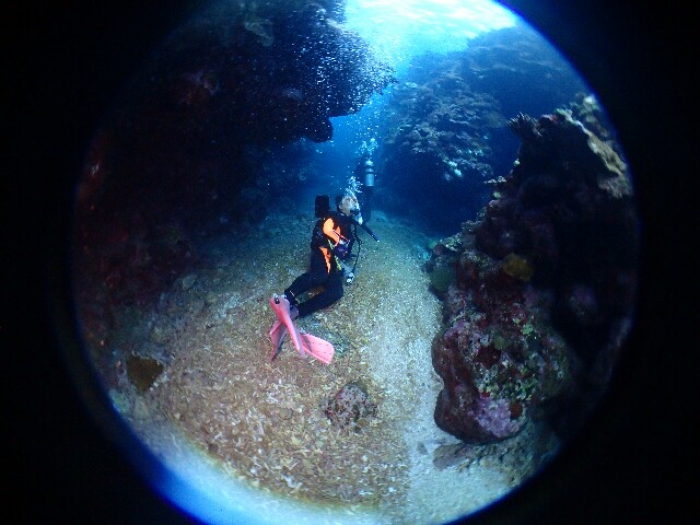 f:id:takedive1988:20221126100016j:image