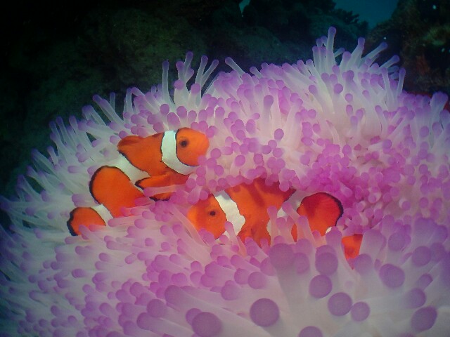 f:id:takedive1988:20221204184902j:image