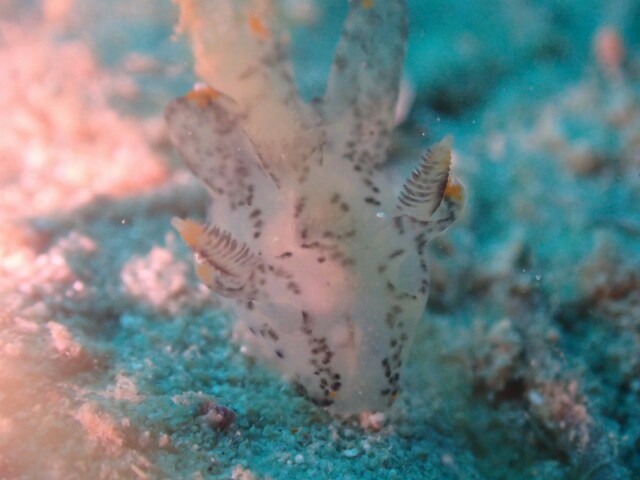 f:id:takedive1988:20230320173827j:image